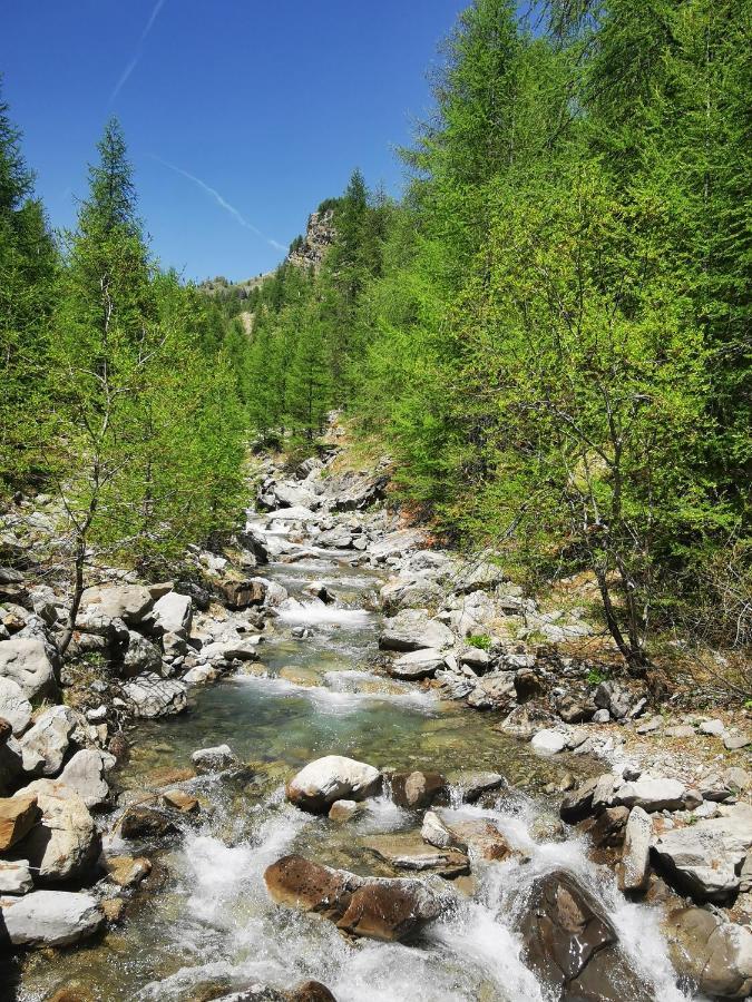 Les Marmottes D Estenc Экстерьер фото