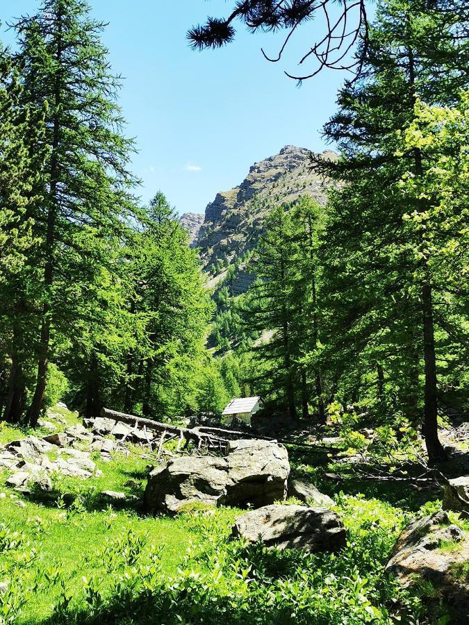 Les Marmottes D Estenc Экстерьер фото